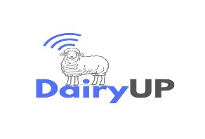 dairy
